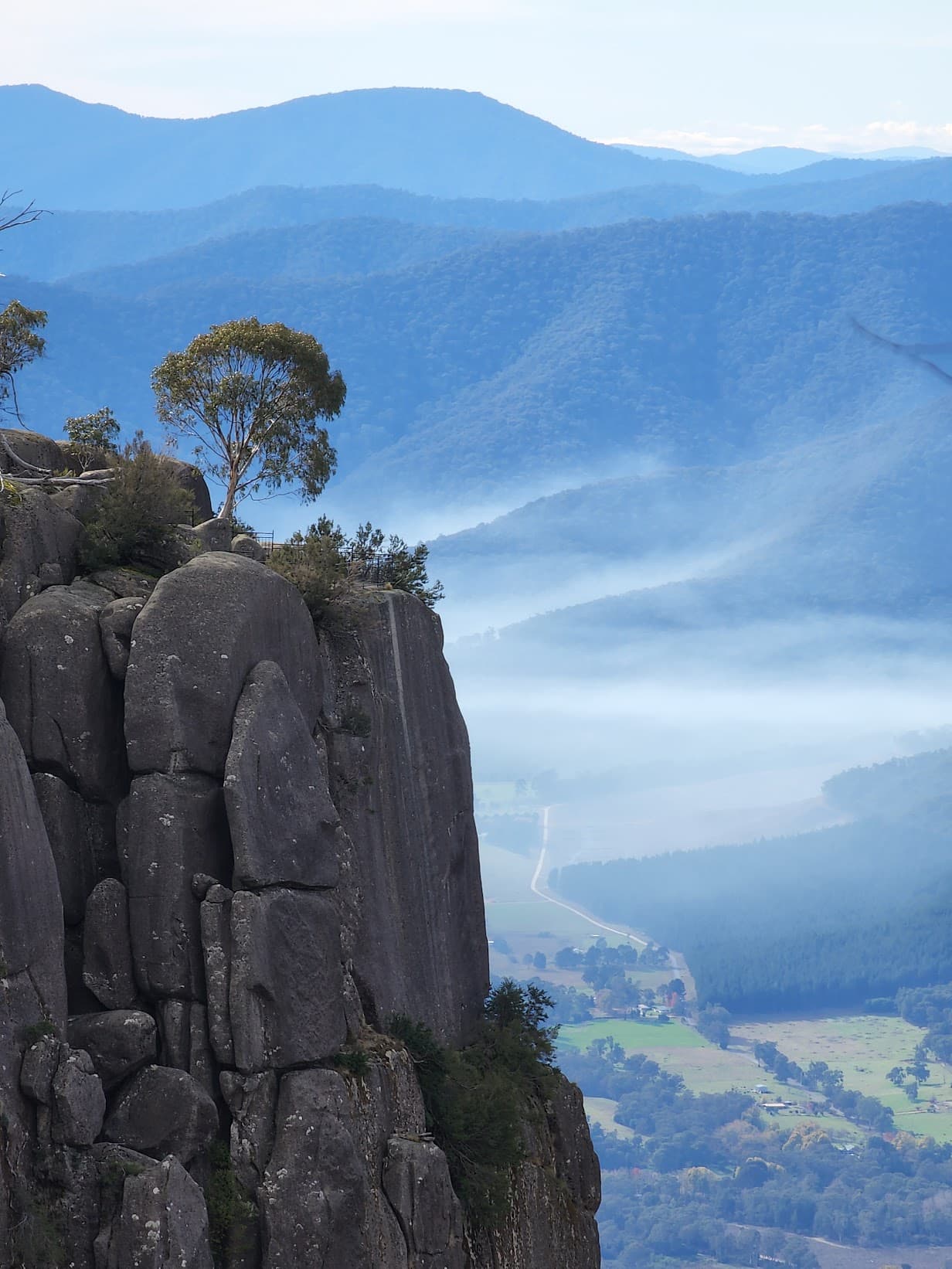 Lone eucalypt on a granite cliff edge overlooking a misty valley