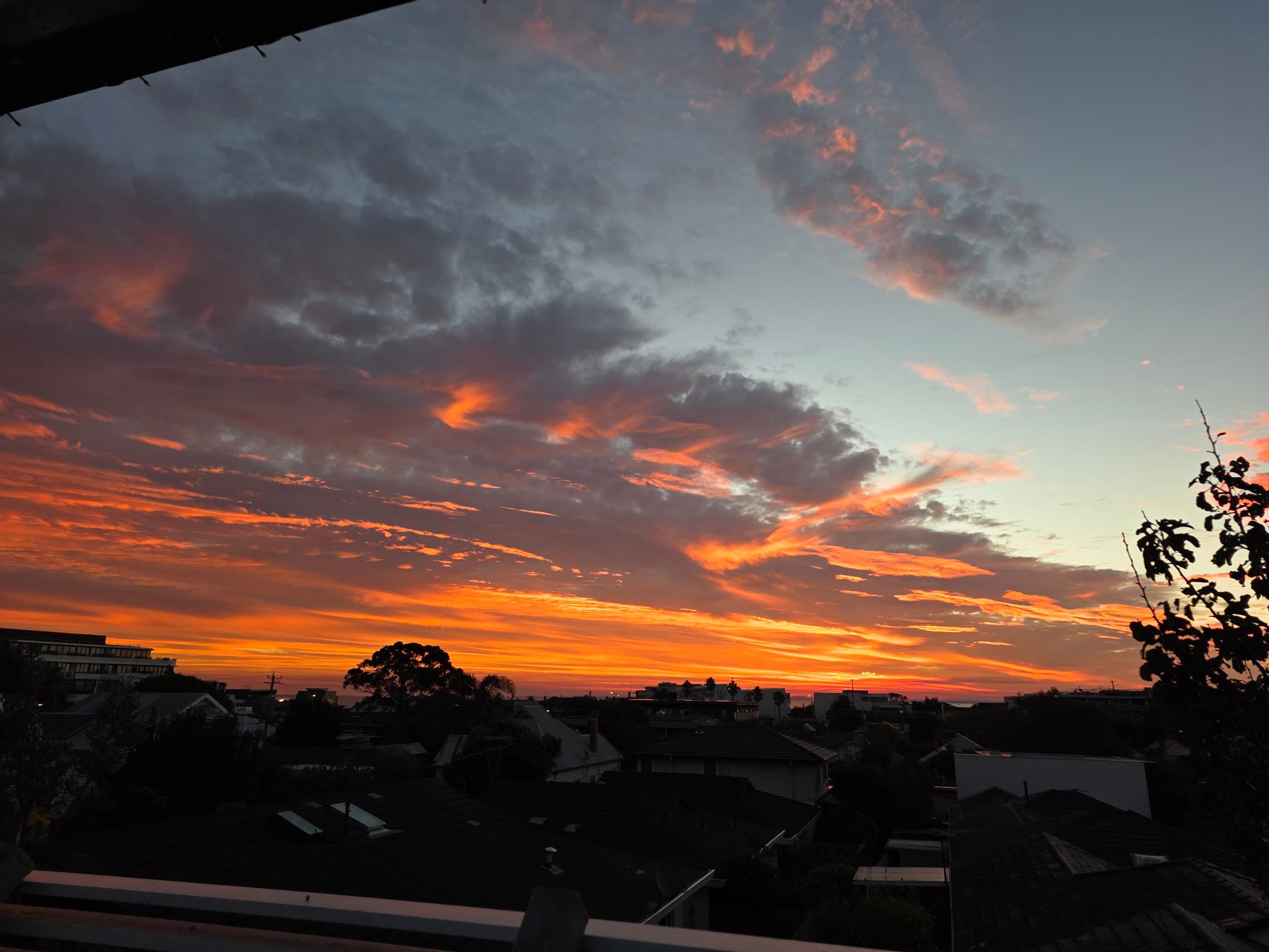 Fiery orange sunset over suburban rooftops