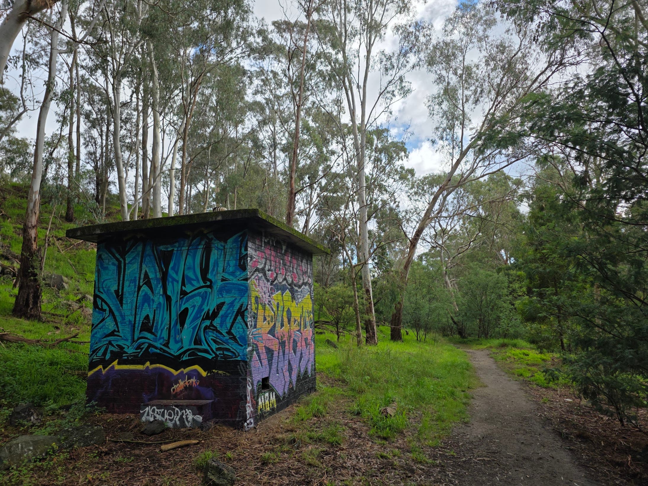 Painted shelter along a forest walking trail
